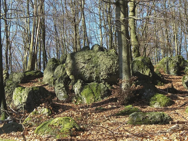 Butterweck