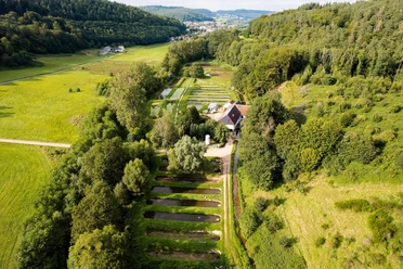Forellengut Rosengarten Trassem (2)