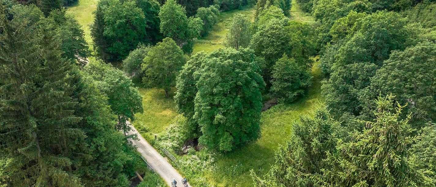 Radfahrer im Prethtal