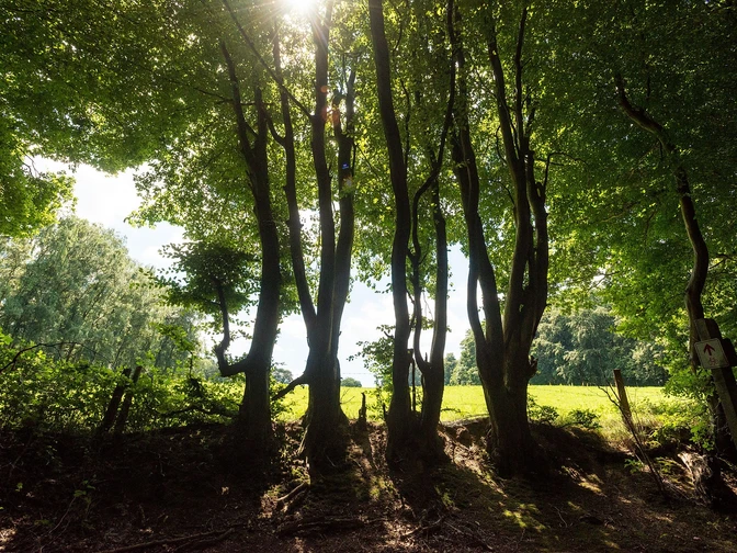 Wanderweg im Wurmtal