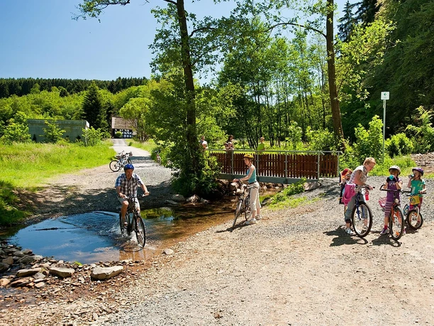 Steinches Mühle Rad