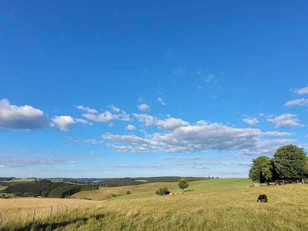 Eifel-Blick-Dreiländerblick-Buchet