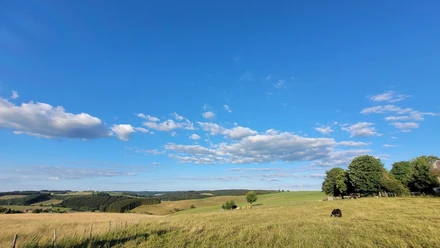 Eifel-Blick-Dreiländerblick-Buchet