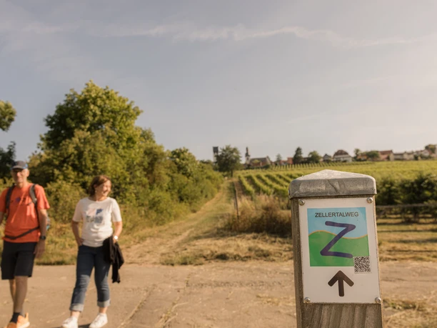 Auf dem Zellertalweg