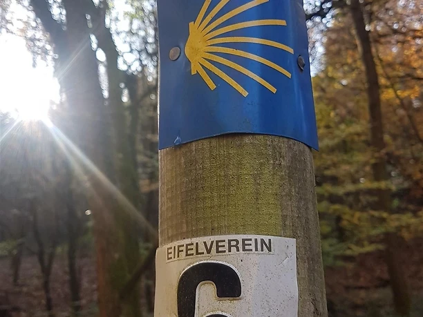 Eifelcamino Etappe Wittlich Klausen