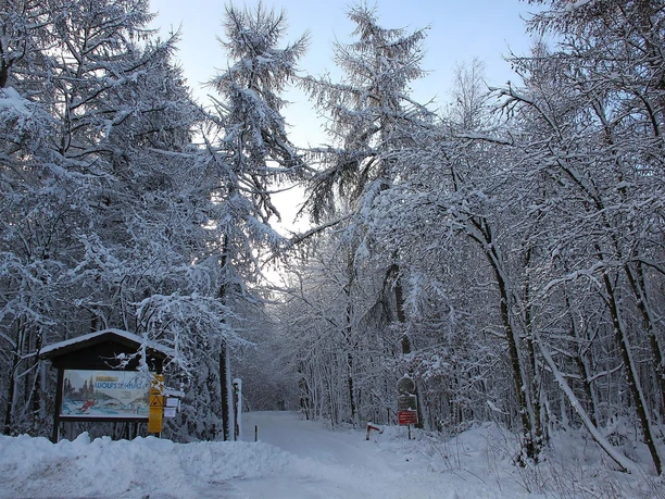 Zuweg zur Wolfsschlucht