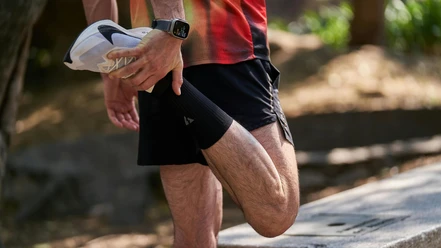 Herz Kreislauf