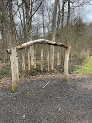 Dendrophon_Marienstatt