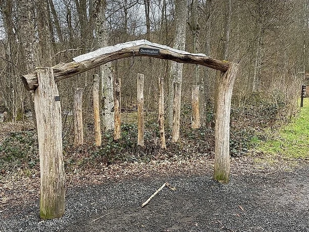 Dendrophon_Marienstatt