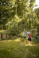 Keltischer Ringwall