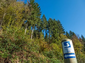 Natursteig Sieg Etappe 10