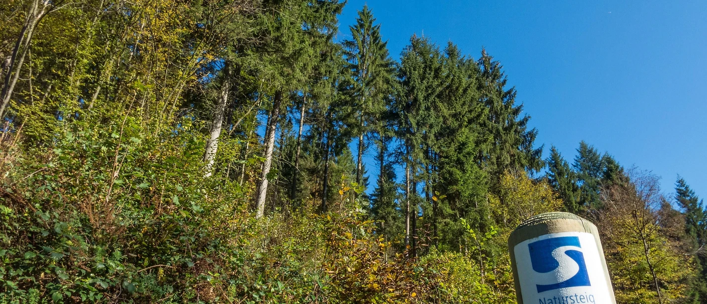 Natursteig Sieg Etappe 10