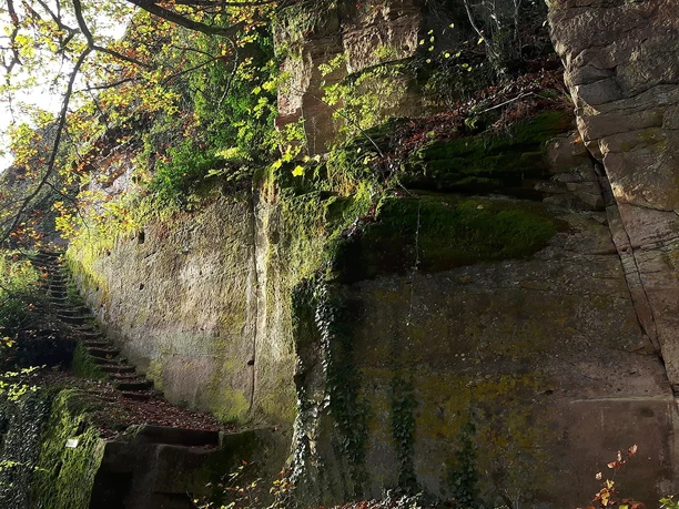 Burgruine Neukastel