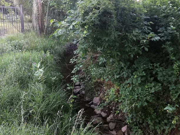 Der Hainbach in Knöringen