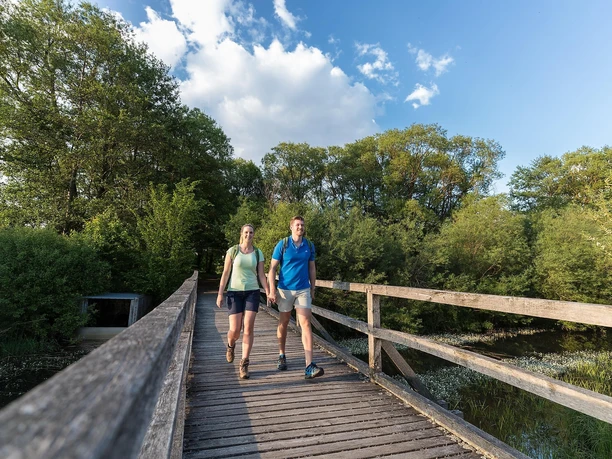 Brücke am Dreifelder Weiher 1