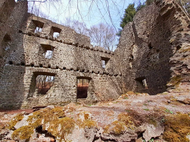 Burgruine Freudenkoppe