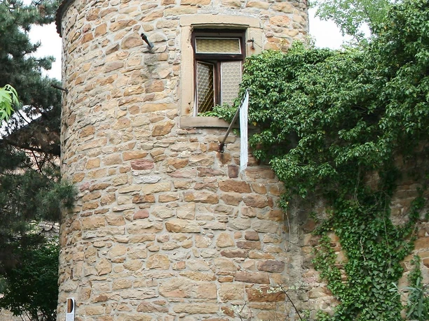 Turmschreiberturm Deidesheim 2