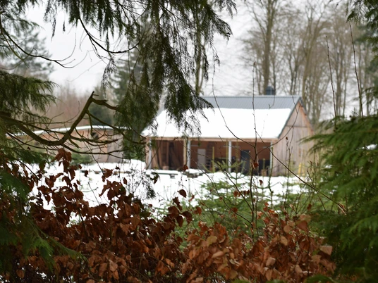 Waldlehrwerkstatt_Winter