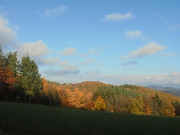 Herbstimpression