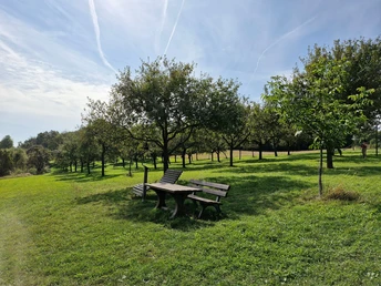Rastplatz am Aussichtspunkt Kolmet