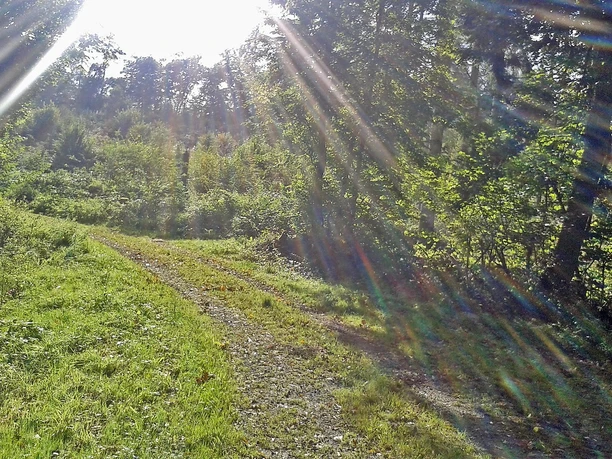 Im Hasenbachtal zwischen Holzhausen/Haide und Obertiefenbach