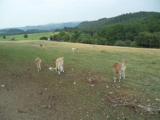 Wildgehege bei Winnerath