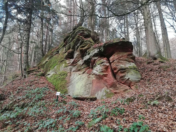 Walderlebnispfad (2)