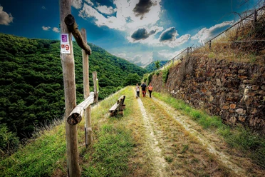 Hunsrückblick