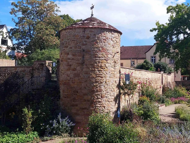 Schlosspark_Turmschreiberturm