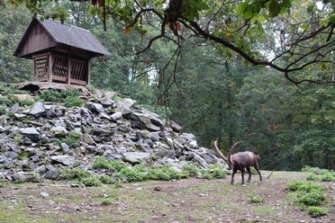 Tiergarten