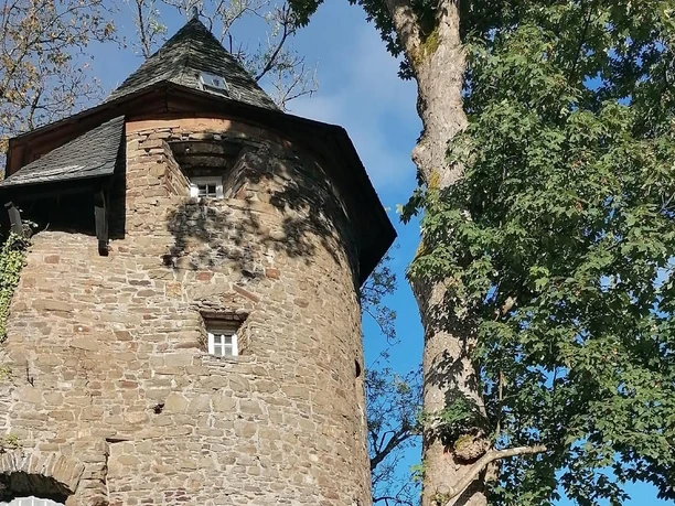 Hungerturm an der Freusburg