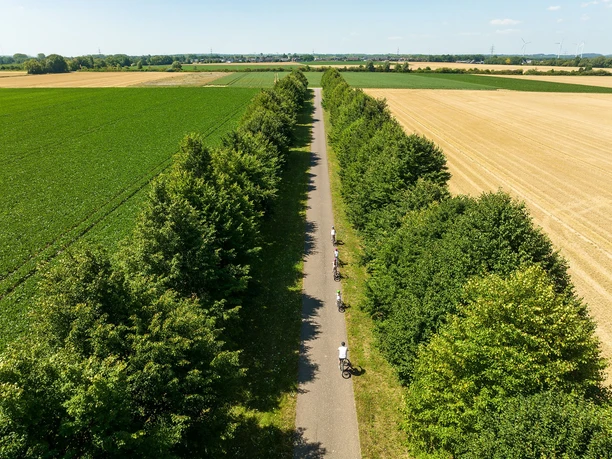 Allee an der Gedächtniskapelle