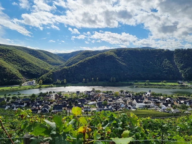 Müden (Mosel)