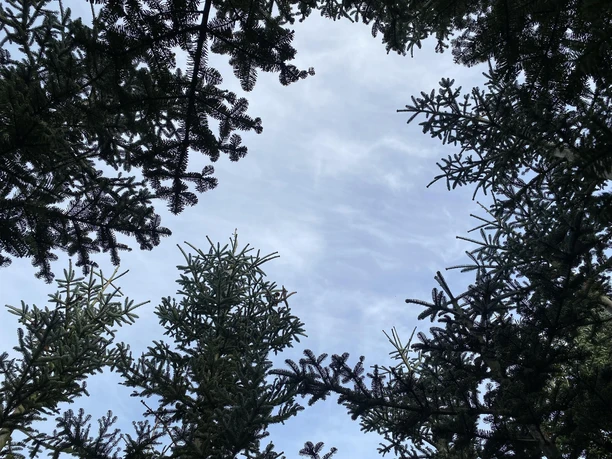 Aussichten zum Entspannen
