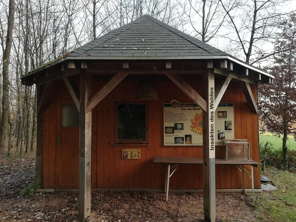 Insekten des Waldes (2)