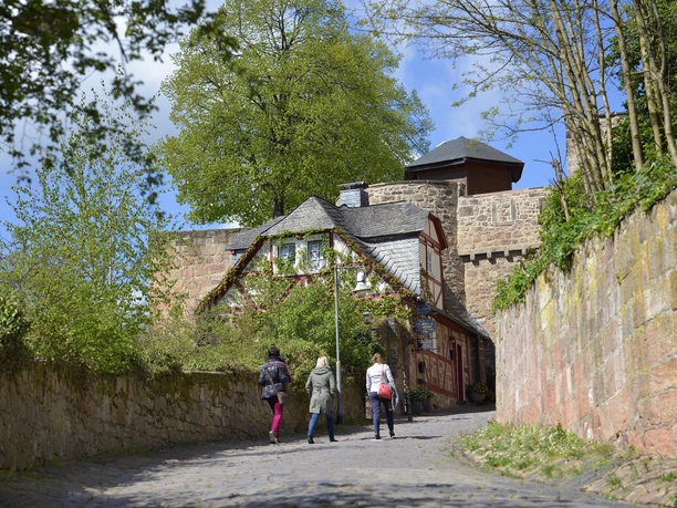 Weg zum Schloss