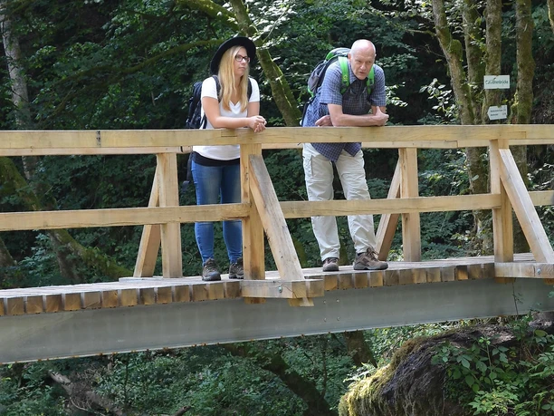 Germanenbrücke Kleine Kyll