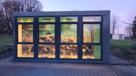 Die Devon-Box