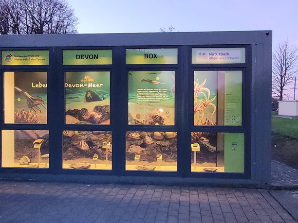 Die Devon-Box