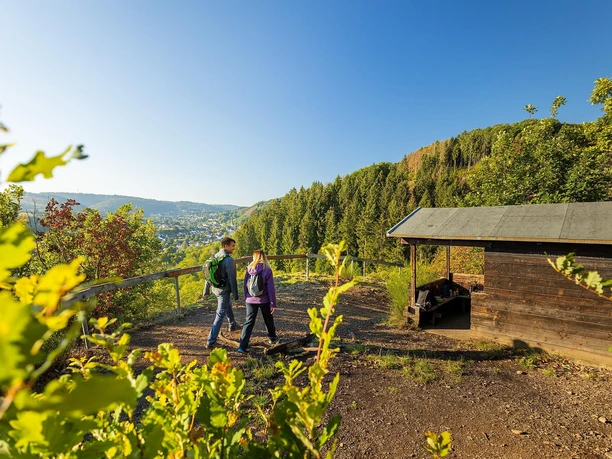 Rast am Aussichtspunkt Kuckucksley