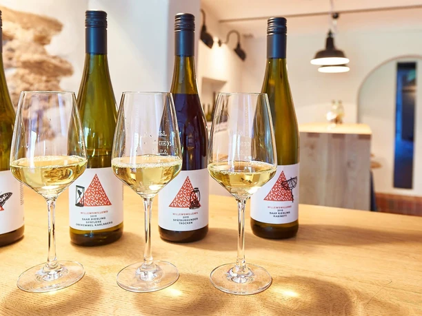 Weingut Willems-Willems (2)