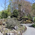 Botanischer Garten Frühling