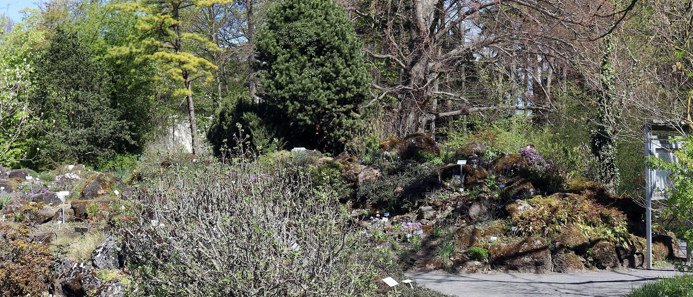Botanischer Garten Frühling