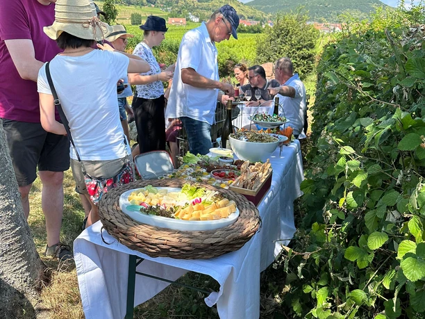 Picknick-im-Weinberg-Dagobertshecke-Bio-Wein-und-S