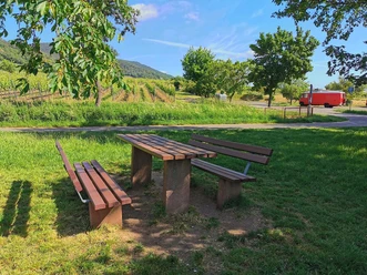 Im Letten - Maikammer
