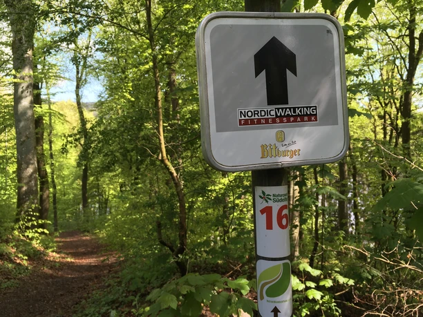 Unterwegs auf der schwarzen Route in Biersdorf