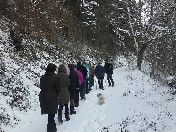Wanderung im Winter Wanderung im Winter