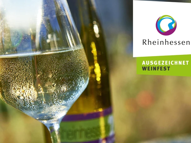 Wein der Vino Generation