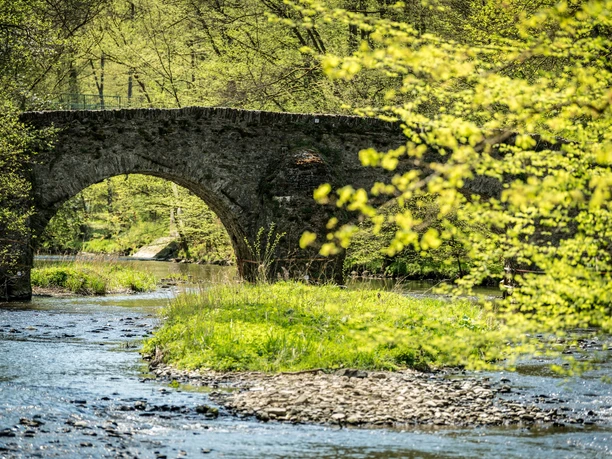 Historische Nisterbrücke in Marienstatt
