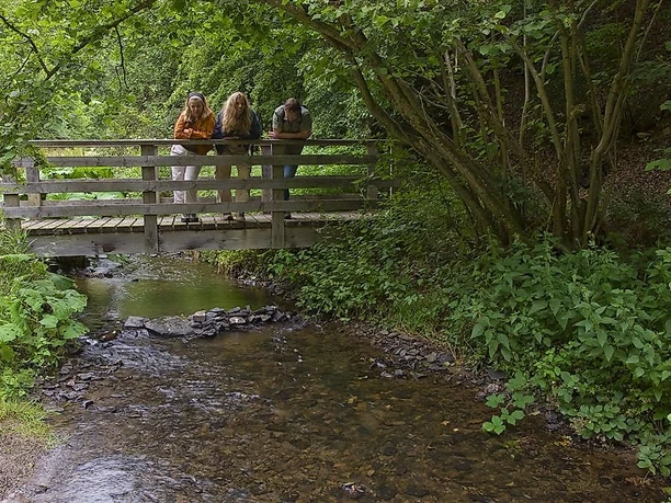 Plätschernder Bachlauf am Traumpfad Bergheidenweg